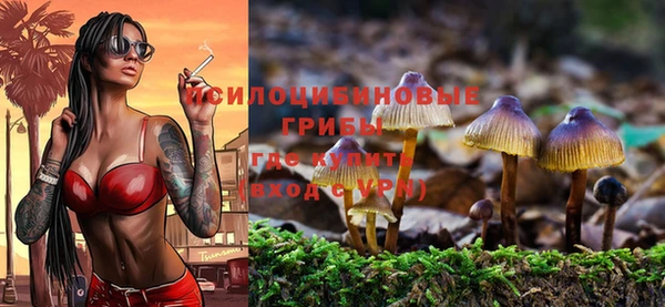 бутират Бугульма