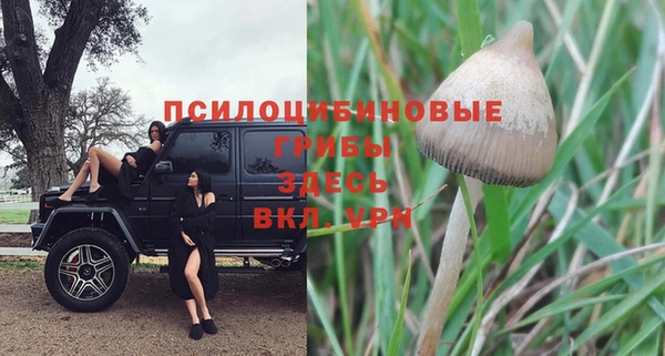 бутират Бугульма