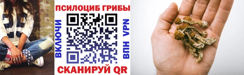 Галлюциногенные грибы GOLDEN TEACHER  маркетплейс состав  Карабаш 
